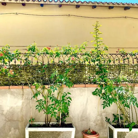 Nido Nel Borgo Tertenia